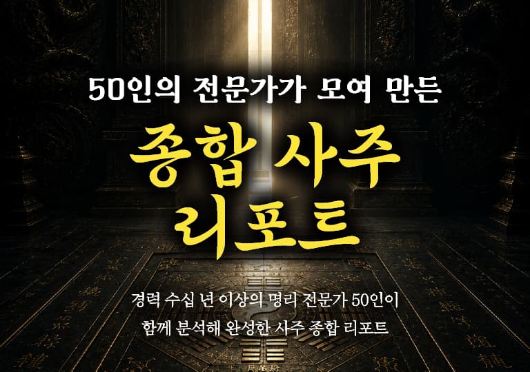 50인의 전문가가 모여 만든  종합 사주 리포트